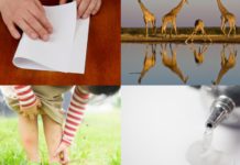 Did You Know Facts: Amazing Things That You Need to Learn