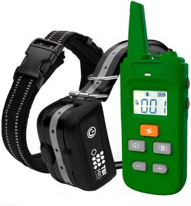 TBI-Pro Dog Training Collar with Remote