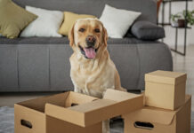 Moving Trends Analysis for Year 2025