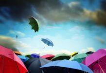 Things to Consider Before Shopping For Umbrellas For Rain