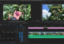 Do Most YouTubers Use Premiere Pro?
