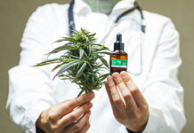Cannabis Specialists: Your Guide to Medical Marijuana Doctors