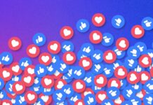 Discovering New Horizons: Navigating Emerging Web Content Platforms