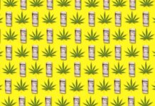 Green Light for Cannabis Banking: Certification Essentials