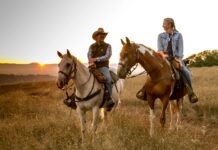 5 Reasons Why You Should Go on a Horseback Vacation