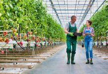 The Role of CO2 Sensors for Improved Agricultural Production