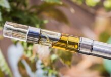 How to Use a THC Vape Pen: Tips for a Smooth and Informed Experience