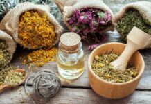 How Herbal Remedies Can Enhance Your Overall Well-Being ─ A Beginner’s Guide