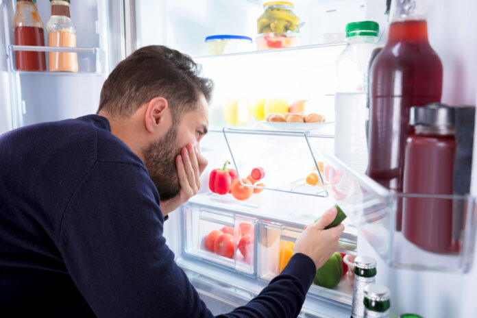 Foul Smells in refrigerator