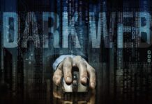 The Role of Darknet Intelligence in Government Cybersecurity