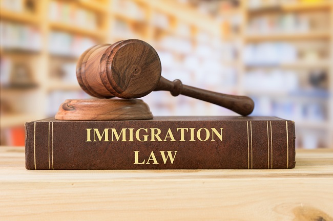 Immigration,Law,Books,With,A,Judges,Gavel,On,Desk,In