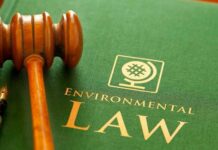 Understanding the Role of Environmental Law Lawyers in Today’s Legal Landscape