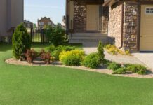 Transform Your Outdoors with Emerald Lawns: Premier Lawn Care Company Services
