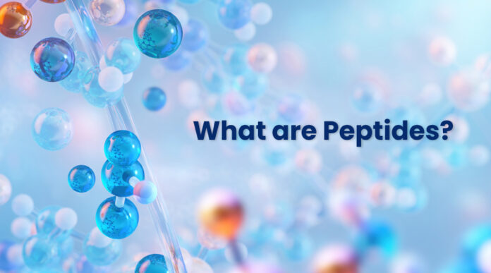 What Are Peptides