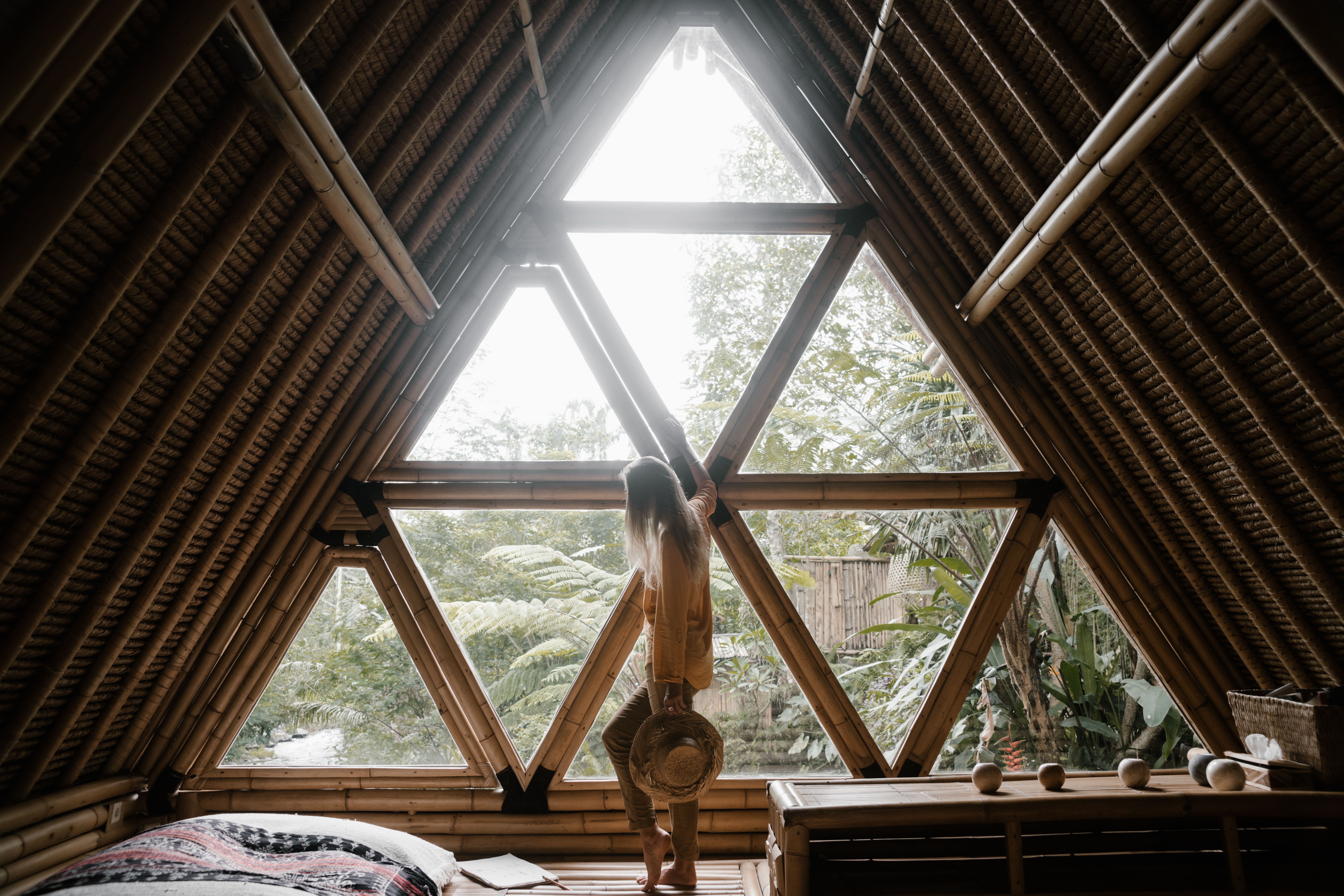 Natural bamboo interior with a triangular window and surrounding plants